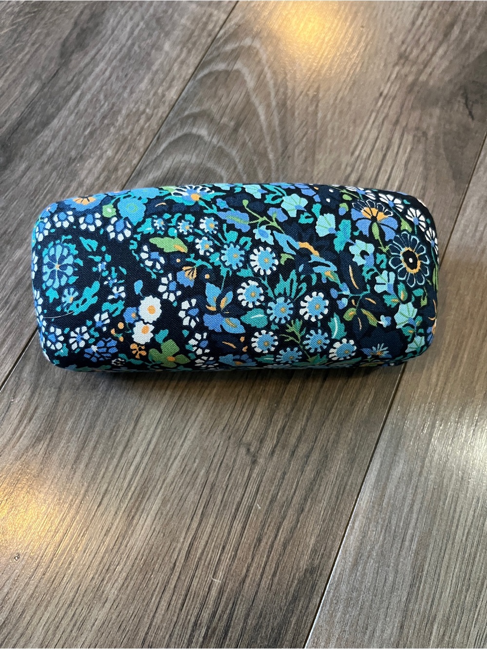 Vera Bradley dreamer paisley Eyeglass Case